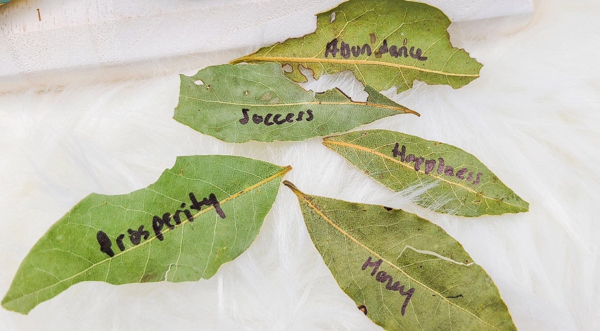 Prosperity Spell Oil Intention Manifestation Abundance Attract Money Wealth Good Fortune Career - MysticBluuMoonTarot